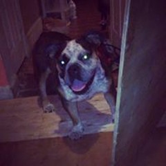 Curtis Caleb Fowlkes