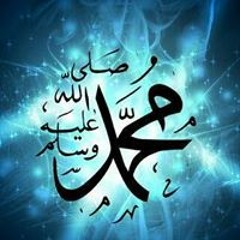 Heba Mostafa