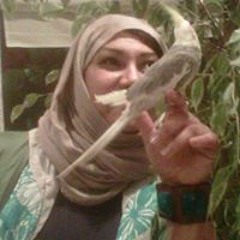 Safinaz Khalil Shorbagy