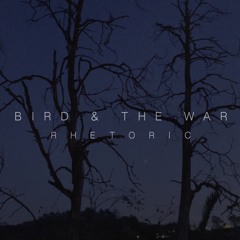 BIRD & THE WAR