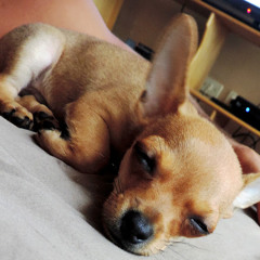 franyo yunny de hernandez