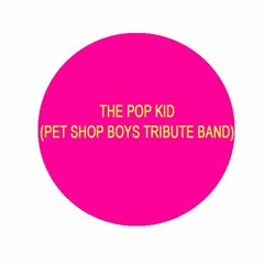 Pet Shop Boys (Tribute) Left to my own devices Cover