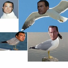 Jorge Peppertrees