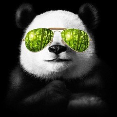 Cool Panda