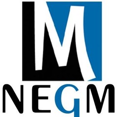 mohamed negm