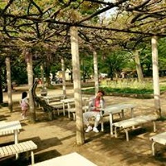 Mộng Vô Thường