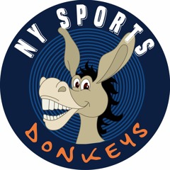 NY Sports Donkeys