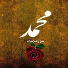 Sahar Hamdy