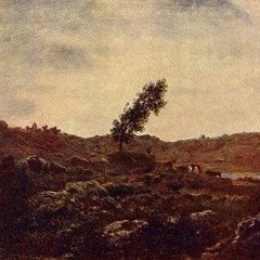 northwest magpie records