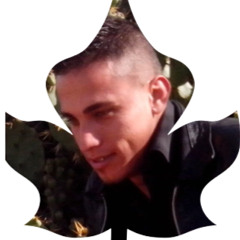 gareeb tnt