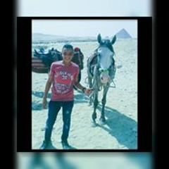 Ahmed Ismaeil
