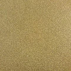 [S-News] Journal international du 11/10/2016