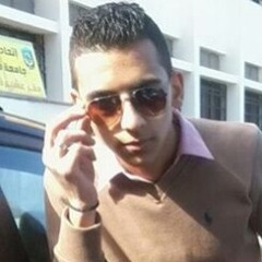 Mostafa Lotfi