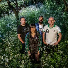 barefoot in baltimore