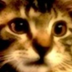 ursipixel