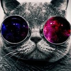 レアンドロ フェレイラ