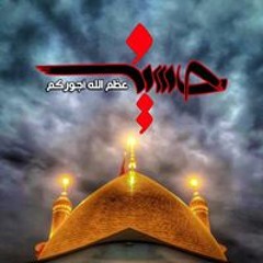 Manal Ahmed Ali