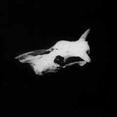 Foundling Studios