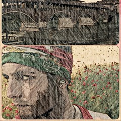 Papillon30