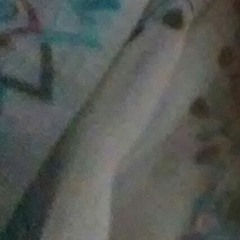 mikalah_4129