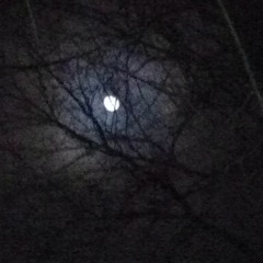 I Kindove Wanna Hear That