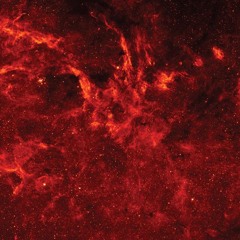 Kathleen M. McCarthey