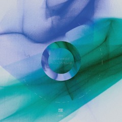 Strange Attractor