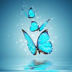 Honor The Fighting Girl