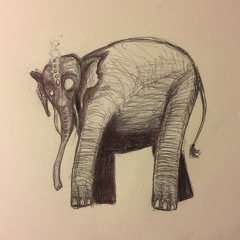 Elephants Seek Revenge