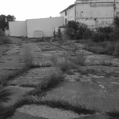 Robert Tarantula Paulsen