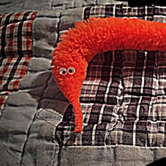 Fuzzy Worm