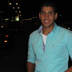 Ahmed Mahmoud Elsharkawy