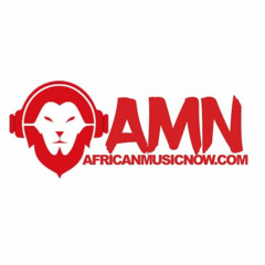 African Music Now