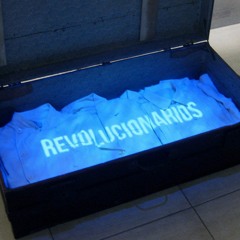 Joao V. M. Ramos