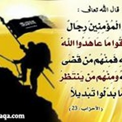 Ahmed Abdelkareem