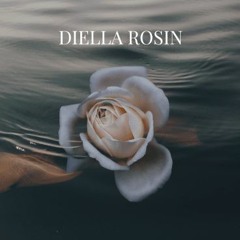 Mr.Diella Rosin