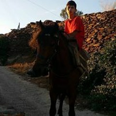 lakis