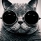 i like mewsic