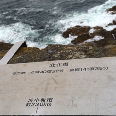 松沢佳