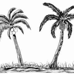 KASH MONEY X HONEY OSO X KELLZ - GANG SHIT