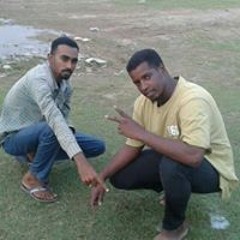 الشيخ الباشا