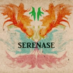 Stream Serenase music  Listen to songs, albums, playlists for