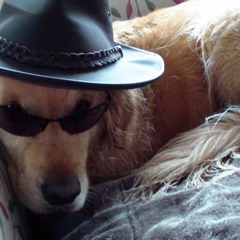 Alwin Nikolais in Mickleover