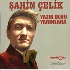Şahin Çelik