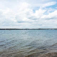 Vicky Koessel
