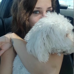 LoudCandy