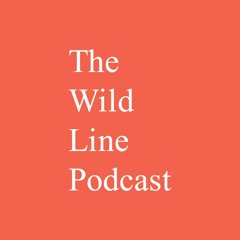 The Wild Line Podcast: Box Office Analysis