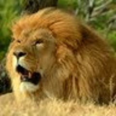 Romaric Saphou Ntsientsi