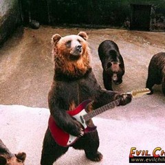 Rock the Bear