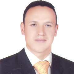 amr sedeek